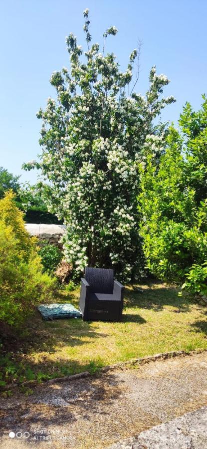 Maison De Charme Avec Jardin Cousance Exteriér fotografie
