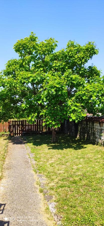 Maison De Charme Avec Jardin Cousance Exteriér fotografie